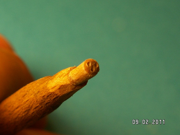 krok 6: prowadzenie pod talię