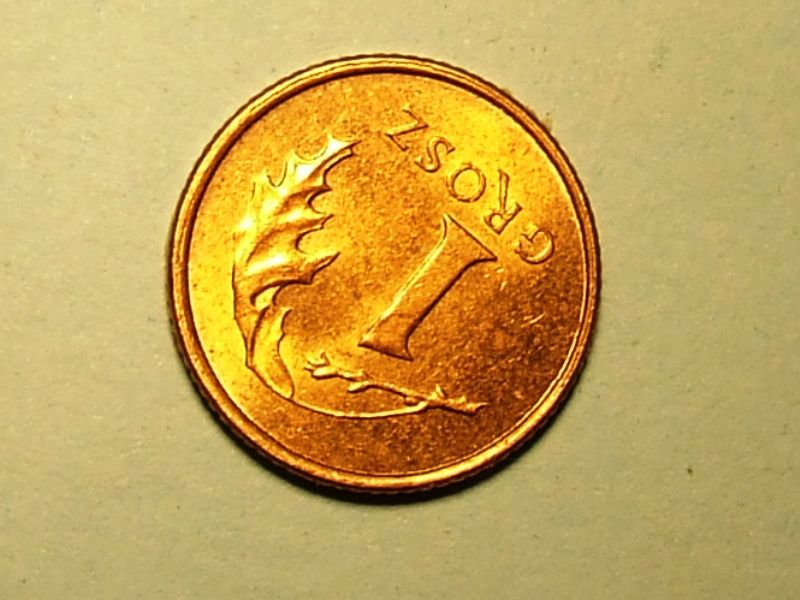 DSCF7232.JPG