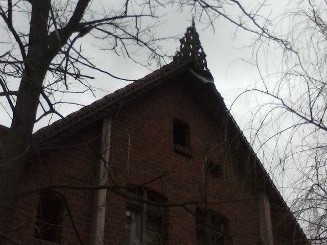 CAM00051.jpg