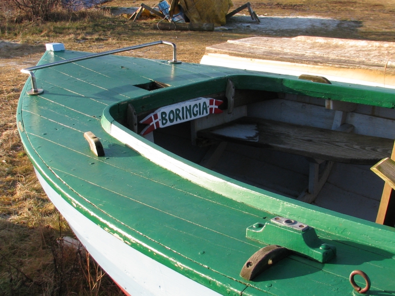 Nowy-7.jpg