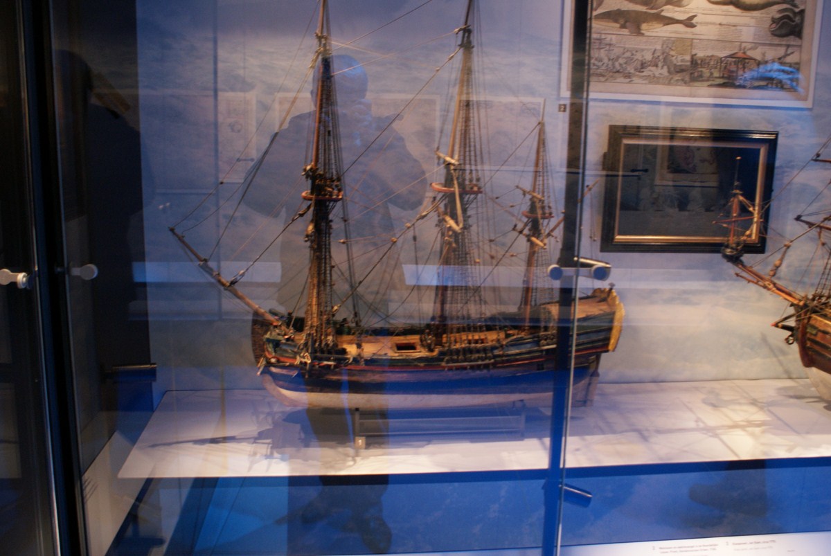 DSC00520 (Kopiowanie).JPG
