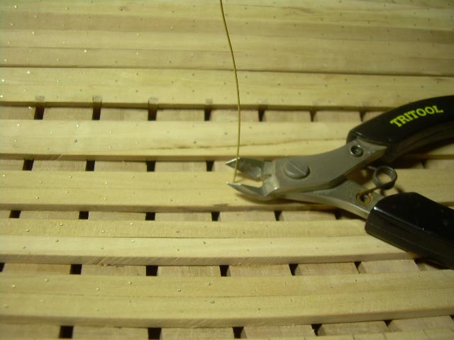 DSCN4607.jpg