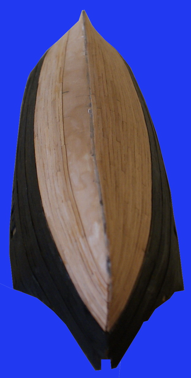 DSC01156.jpg