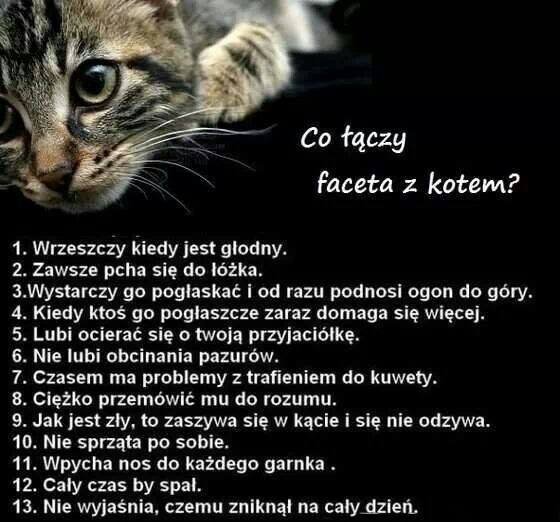 Co łączy faceta z kotem?