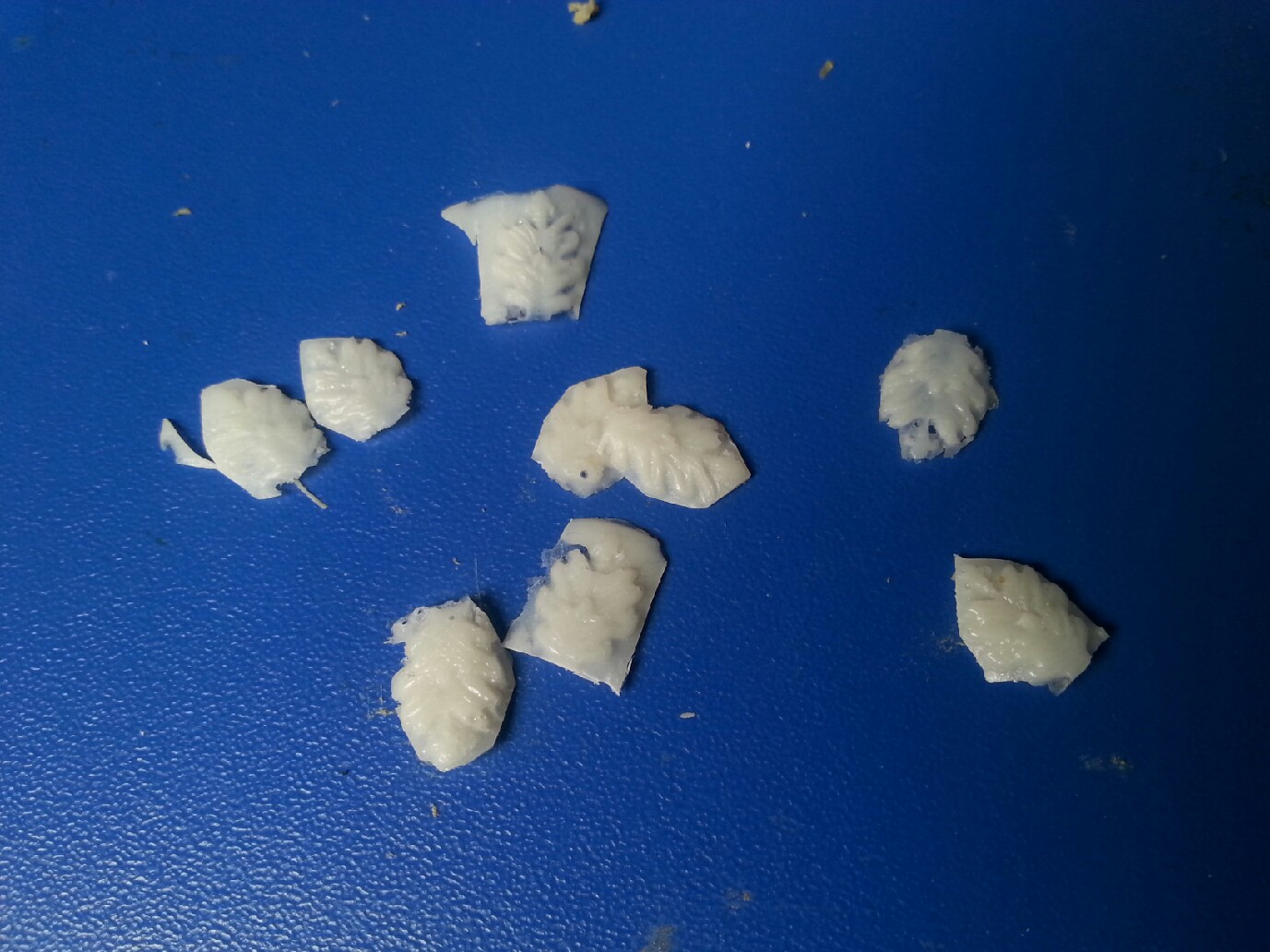20140426_132911.jpeg