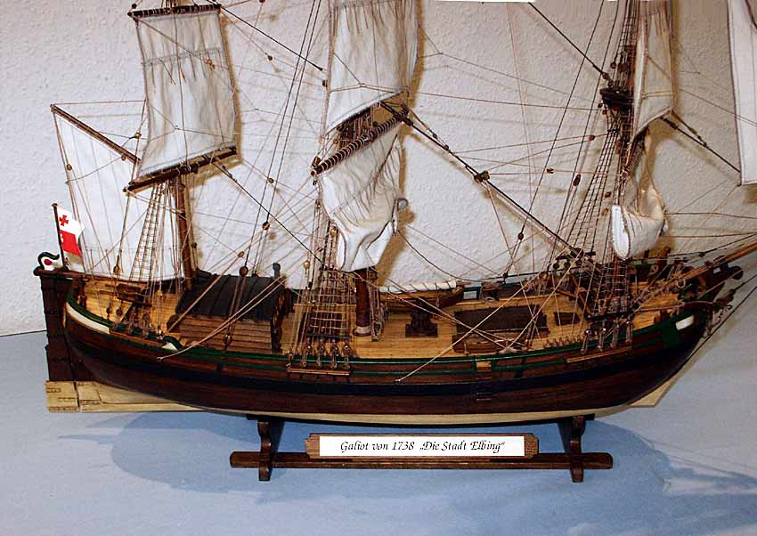 d36g.jpg