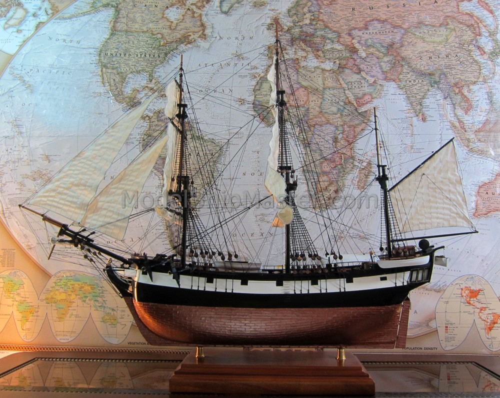 hms beagle (1).jpg