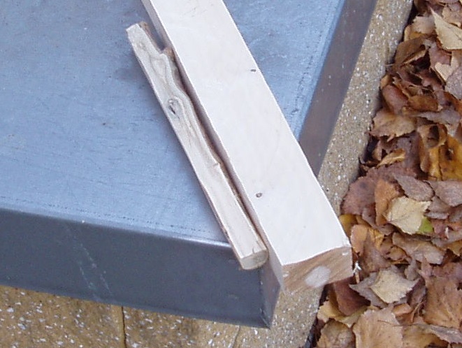 Porównanie holly ( ten cienki suchy patyk) z klockiem mokrego świeżego derenia (bardzo ciężkie drewno podobno używane kiedyś na koła zębate)