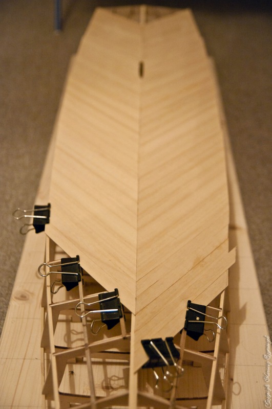 _PNT8887.jpg (106.4 KiB) Przejrzano 12444 razy pierwsza warstwa- Abachi