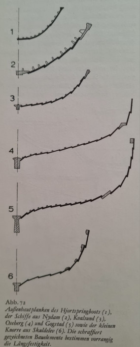 1111.jpg