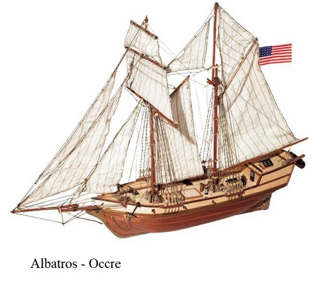Albatros.jpg