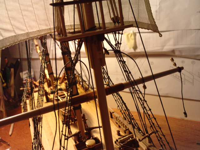 P291211_10.430001.JPG